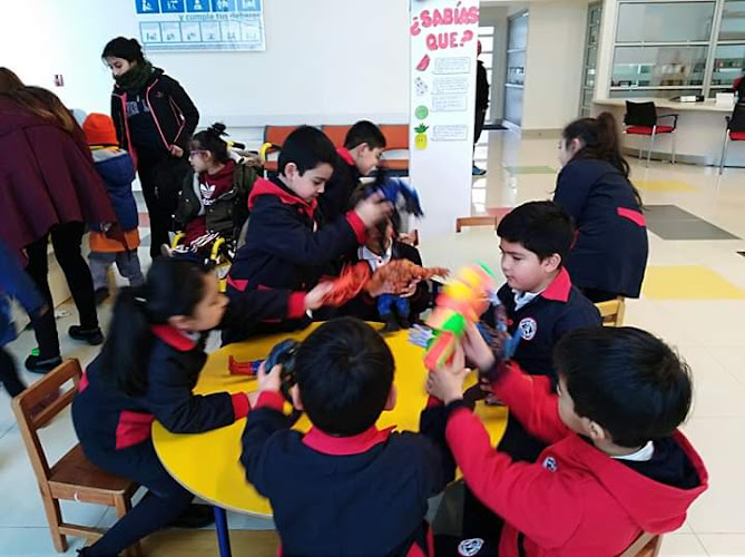 clases de ingles Valdivia